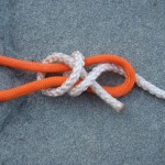 bowline knot